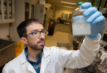 Super-Resolution Microscopy Provides Real-Time Picture of Bacteria Degrading Biomass With Enzyme Complexes featured image