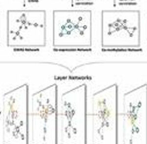 Complex networks identify genes for biofuel crops featured image