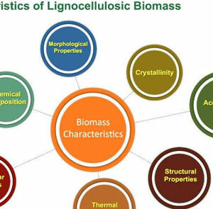 Characterizing Lignocellulosic Biomass Strategies featured image