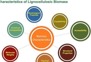 Characterizing Lignocellulosic Biomass Strategies featured image