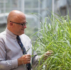 Ragauskas Helps Lead Biofuel-Related Breakthrough, Gains Honors featured image