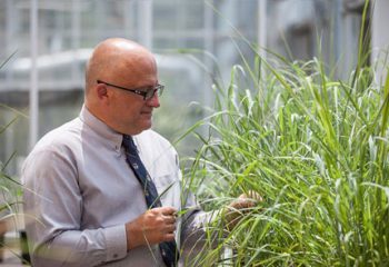 Ragauskas Helps Lead Biofuel-Related Breakthrough, Gains Honors featured image