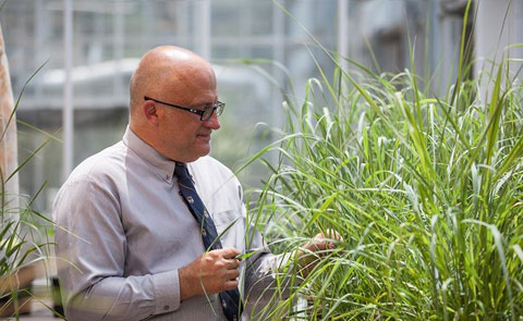 Ragauskas Helps Lead Biofuel-Related Breakthrough, Gains Honors