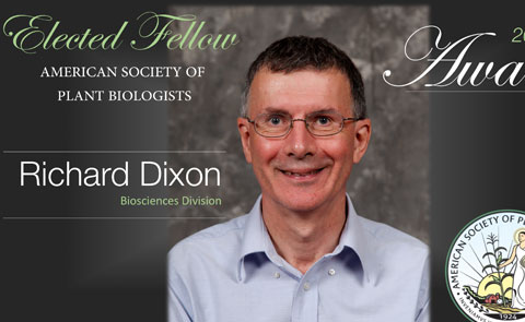 Richard Dixon Elected Fellow of the American Society of Plant Biologists featured image