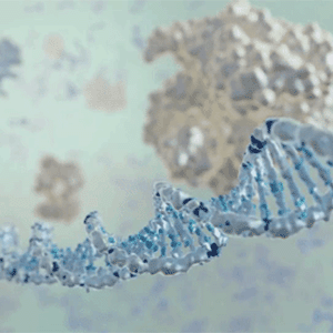 New biosensors shine a light on CRISPR gene editing featured image