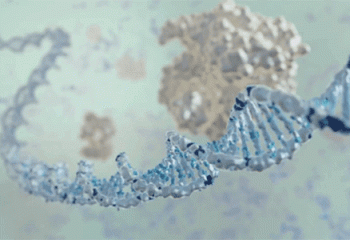 New biosensors shine a light on CRISPR gene editing featured image