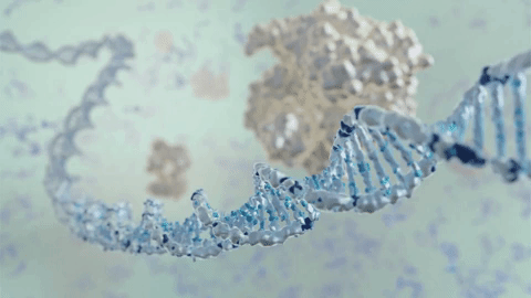New biosensors shine a light on CRISPR gene editing
