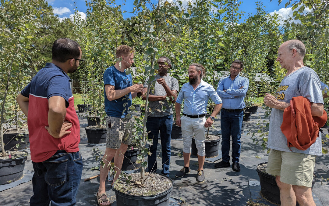 Project examines how trees’ cells work during winter dormancy