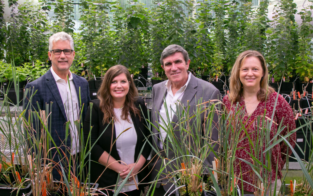 DOE funds next-generation Center for Bioenergy Innovation to advance renewable jet fuel