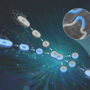 Retro technique advances modern bacterial engineering for bioenergy featured image