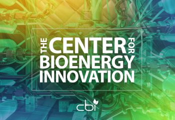 The Center for Bioenergy Innovation logo