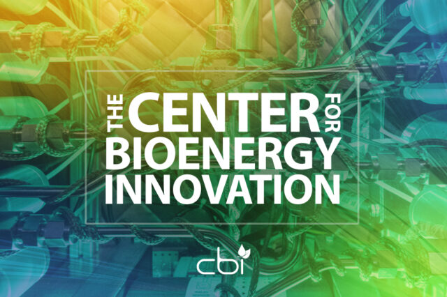 The Center for Bioenergy Innovation logo