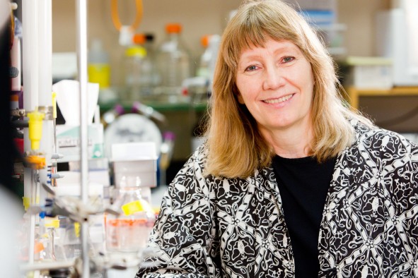 Debra Mohnen, senior author, in her University of Georgia lab.