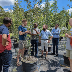 Project examines how trees’ cells work during winter dormancy featured image