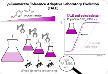 Adaptive laboratory evolution experiments chart