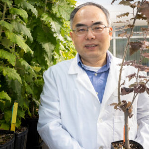 Xiaohan Yang poses with plant in the Advanced Plant Phenotyping Laboratory at Oak Ridge National Laboratory.