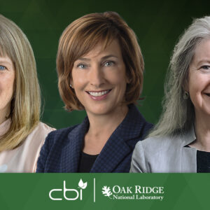 cbi three new board members