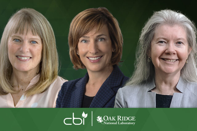 cbi three new board members