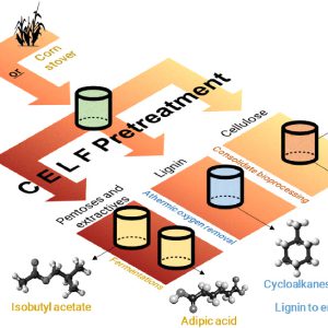 Biorefinery model points to better method at producing co-products featured image