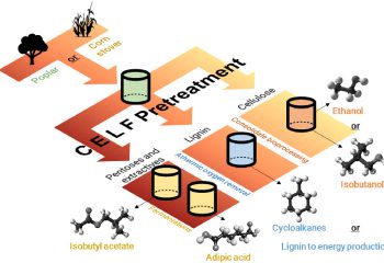 Biorefinery model points to better method at producing co-products featured image