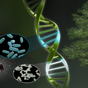 Landmark photosynthesis gene discovery boosts plant height, advances crop science featured image