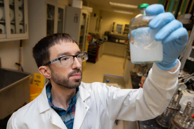 Super-Resolution Microscopy Provides Real-Time Picture of Bacteria Degrading Biomass With Enzyme Complexes featured image