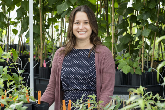 Q&A with Melissa Cregger: From field to factory with precision crops featured image