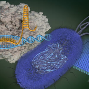 Sharpening an essential tool for biotechnology featured image