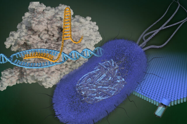 Sharpening an essential tool for biotechnology featured image
