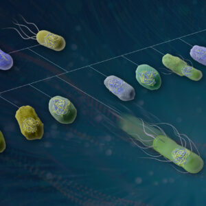New platform speeds bacterial gene mapping for better biotech design featured image