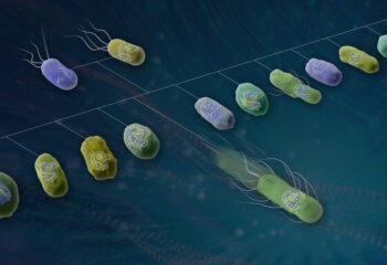 New platform speeds bacterial gene mapping for better biotech design featured image
