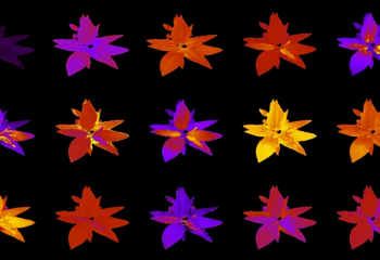 Scientists empower an AI foundation model to accelerate plant research featured image